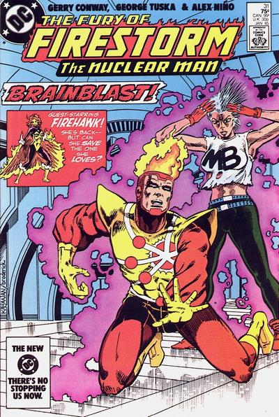 Fury of Firestorm 31